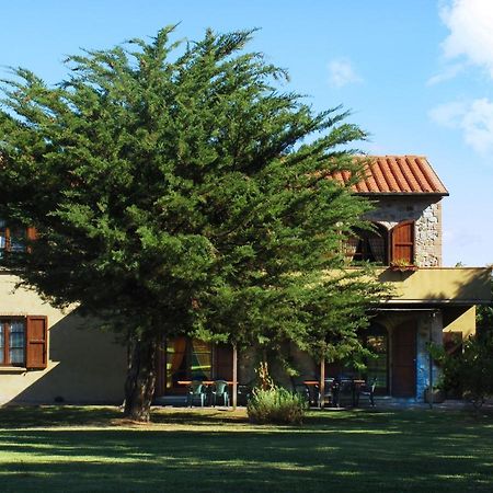 Appartamento Uva - Agriturismo Le Selvole Pomarance Luaran gambar